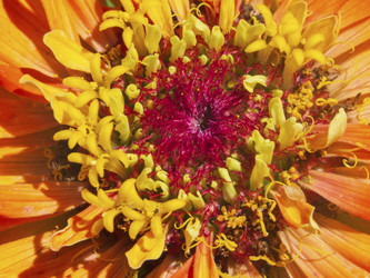 Similar image 21446242