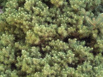 Similar image 21446247