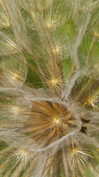 Similar image 21446250