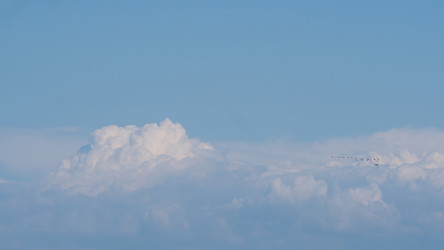 Similar image 21446251