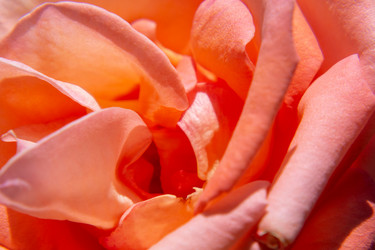 Similar image 21446253