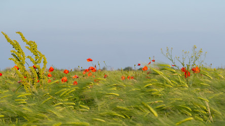 Similar image 21446254