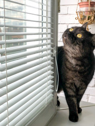 Similar image 21447206