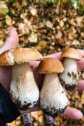 Similar image 21447209