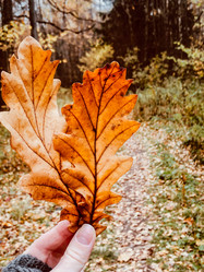 Similar image 21460119