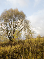 Similar image 21462623