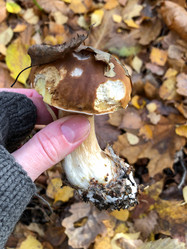 Similar image 21462624