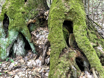 Similar image 21447215