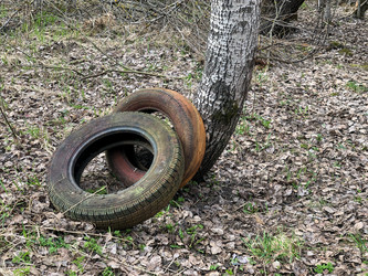 Similar image 21447216