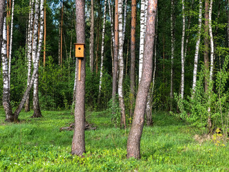 Similar image 21447221