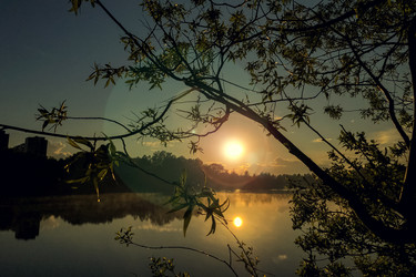 Similar image 21447783