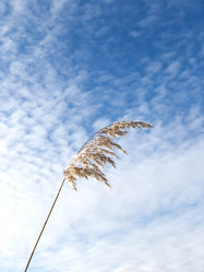 Similar image 21447228