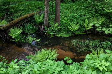 Similar image 21447229