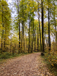 Similar image 21447784