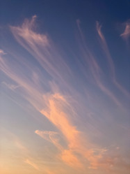 Similar image 21447236