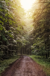 Similar image 21447238