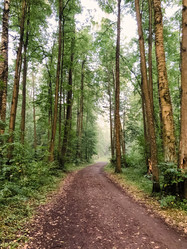 Similar image 21447239