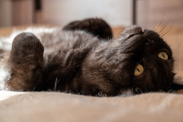 Similar image 21447787