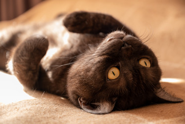 Similar image 21447240