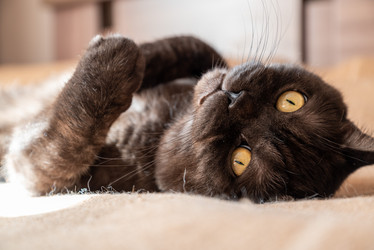 Similar image 21447241