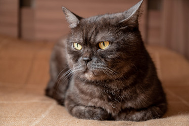 Similar image 21447242