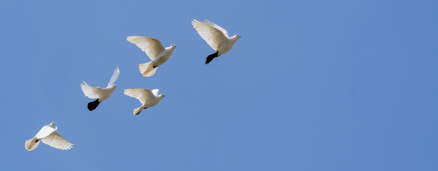 Similar image 21446435