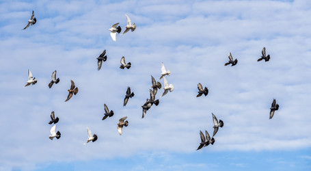 Similar image 21446436