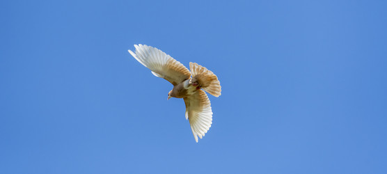 Similar image 21446439