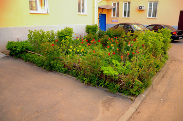 Similar image 21446753