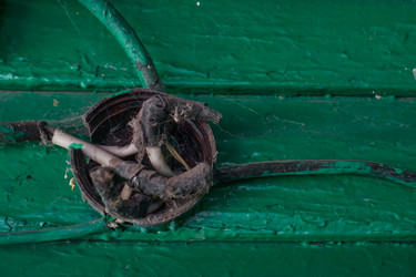 Similar image 21446851