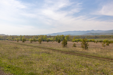 Similar image 21446758