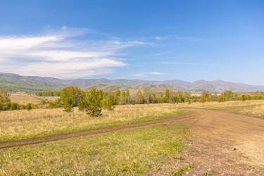 Similar image 21446759