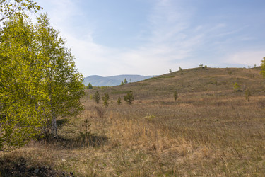 Similar image 21446761