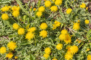 Similar image 21446762