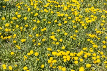 Similar image 21446763