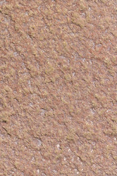 Similar image 21446764