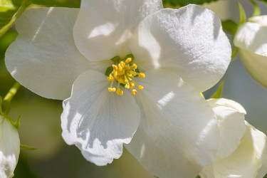 Similar image 21446766