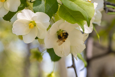 Similar image 21446770