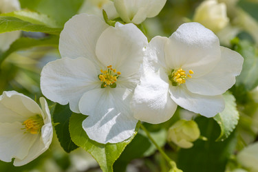 Similar image 21446771