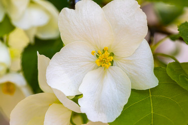 Similar image 21446773