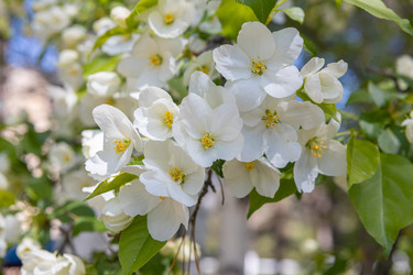 Similar image 21446774