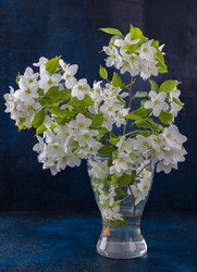 Similar image 21446780