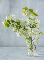 Similar image 21446781