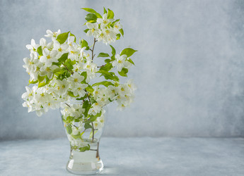 Similar image 21446782