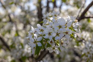 Similar image 21446787