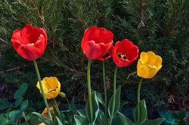 Similar image 21459424