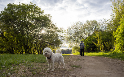 Similar image 21448101