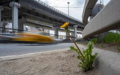 Similar image 21448110