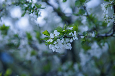 Similar image 21462239