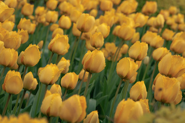 Similar image 21467149